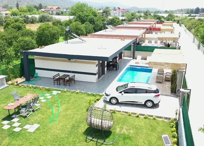 Orange Blossom 페티예