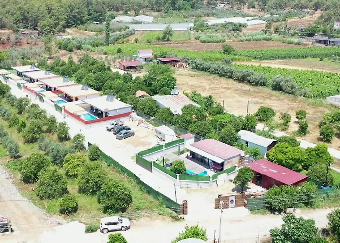 빌라 Orange Blossom *