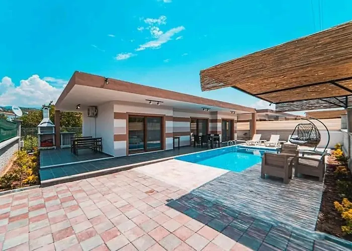 Orange Blossom 페티예