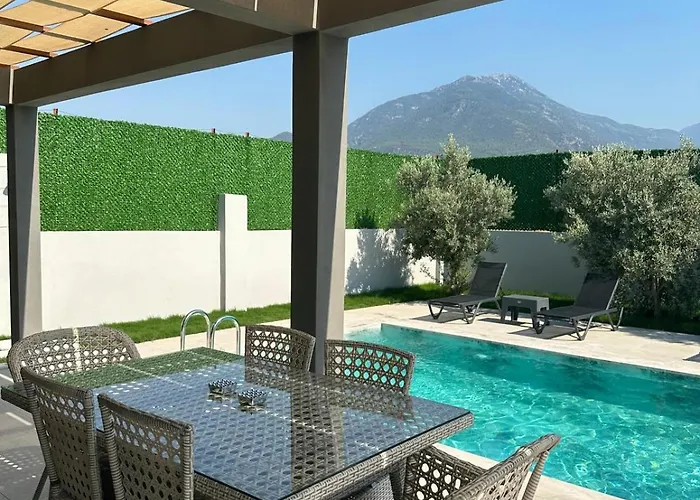 Orange Blossom 페티예